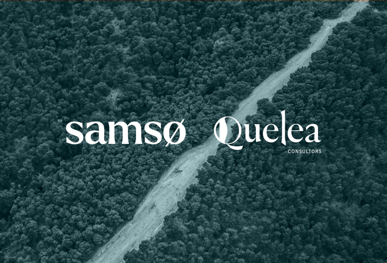 SAMSO x QUELEA SAMSO x QUELEA